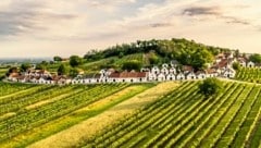 Garantiert guten Wein und Kulinarik gibt’s im malerischen Weinviertel in Niederösterreich. (Bild: (c) Niederösterreich Werbung/ Robert Herbst)