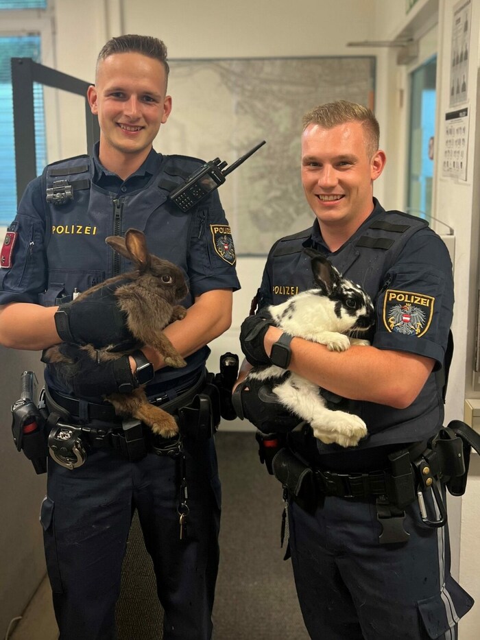 Die Polizei freut sich, die Tiere vor dem sicheren Tod bewahrt zu haben.