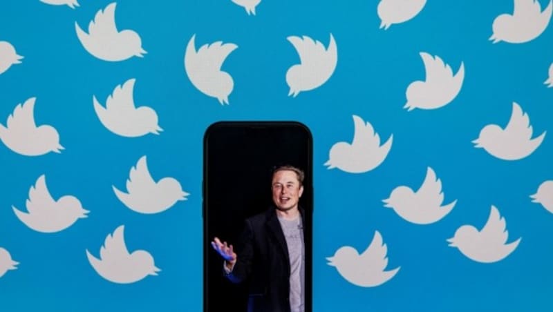 Twitter-Besitzer Elon Musk will das bekannte Vogel-Logo des Kurznachrichtendienstes ändern. (Bild: SAMUEL CORUM / AFP / picturedesk.com)