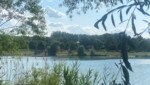 Ein Großaufgebot rückte zum Pleschinger See aus. (Bild: zVg)