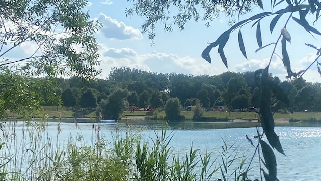 Ein Großaufgebot rückte zum Pleschinger See aus. (Bild: zVg)