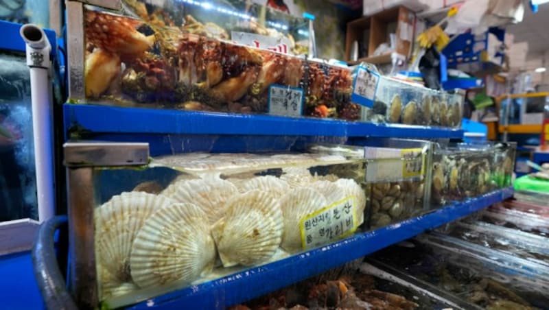 Meeresfrüchte auf einem Markt in Seoul. Die Nachbarländer Japans haben Bedenken, wie sich das Ablassen des Fukushima-Wassers auf die Umwelt auswirken könnte. China will gar die Einfuhr von Waren verbieten. (Bild: AP)