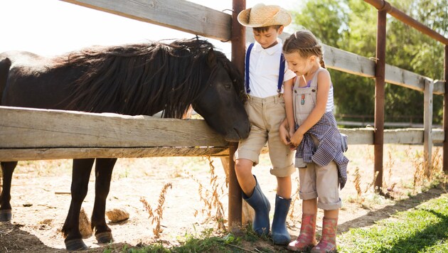 Urlaub am Bauernhof ist eine leistbare Variante. (Bild: ulza - stock.adobe.com)