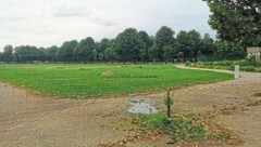 Die Wiese im Augarten ist für Besucher zurzeit nicht benützbar. (Bild: privat)