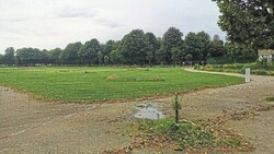 Die Wiese im Augarten ist für Besucher zurzeit nicht benützbar. (Bild: privat)