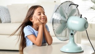 Solo hace que el aire caliente se mueva: si desea enfriar un apartamento de manera sostenible, un ventilador no es suficiente.  (Imagen: stock.adobe.com)