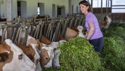 Landesrätin Michaela Langer-Weninger hat nicht vor, Kühe dem Klimaschutz zu opfern. (Bild: LKOÖ)