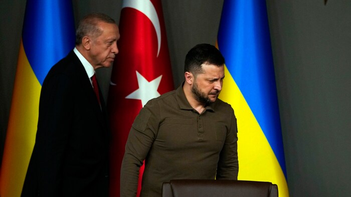 Erdogan und Selenskyj in Istanbul
