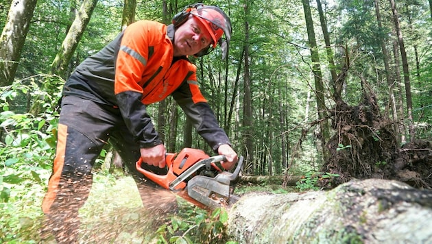 Seinem Job beim ORF trauert Sepp Loibner nicht wirklich nach: „Ich bin als Schepfer aufgewachsen und nicht als Zirkuspferd und Listenschreiber“, sagt er im Gespräch mit der „Krone“. (Bild: Sepp Pail)