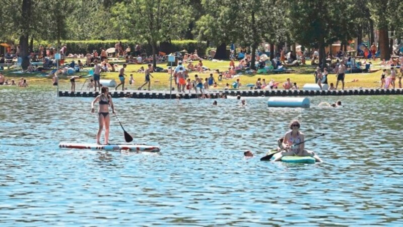 Stand-up-Paddeling auf der Alten Donau (Bild: Zwefo)