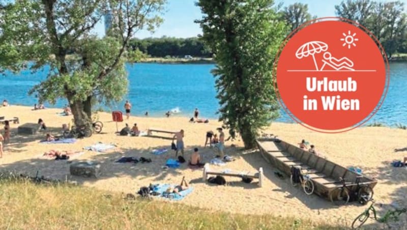 Wien hat aber auch einige Gratis-Badeplätze zu bieten - wie die Pirat Bucht. (Bild: Stadt Wien, Krone KREATIV)