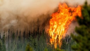 Más bosques quemados en Canadá en junio que Austria tiene un área.  Las columnas de humo llegaron hasta Austria.  (Imagen: PRENSA ASOCIADA)