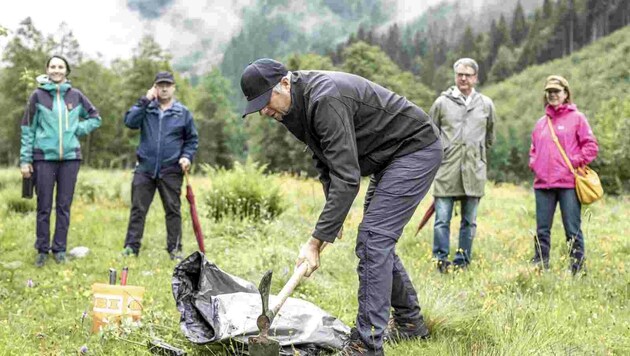 Dutzende Grauerlen wurden bereits gepflanzt. (Bild: Flo Smith / Vertical Pirates)