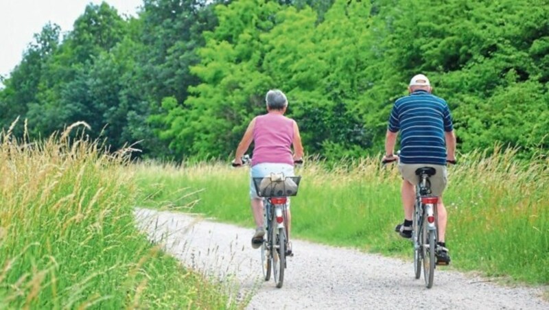 Das Radfahren in der Lobau wurde massiv eingeschränkt. (Bild: Willfried Gredler-Oxenbauer / picturedesk.com)