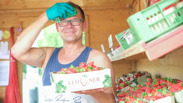 Der Finne Juha Hämäläinen verkauft in Linz-Urfahr Erdbeeren. (Bild: Einöder Horst)