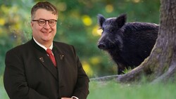 Der Salzburger RH-Direktor Ludwig Hillinger braucht zum Zählen von Wildschweinen das beste Gerät. (Bild: APA/Picturedesk, Krone KREATIV)