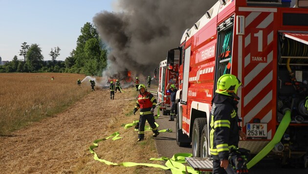 Hitze und Trockenheit erhöhen die Gefahr für Feldbrände (Bild: Lauber/laumat.at Matthias)