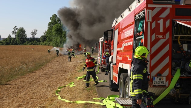 Hitze und Trockenheit erhöhen die Gefahr für Feldbrände (Bild: Lauber/laumat.at Matthias)