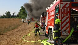 Hitze und Trockenheit erhöhen die Gefahr für Feldbrände (Bild: Lauber/laumat.at Matthias)