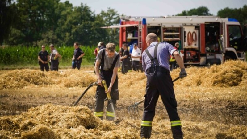 Neben Bränden werden auch Ernteausfälle befürchtet. (Bild: Scharinger Daniel)