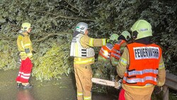 Umgestürzte Bäume sorgten besonders im Westen und im Norden Österreichs für Chaos auf den Straßen. (Bild: zoom.tirol)