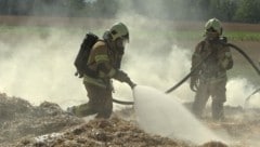 Die Florianijünger rückten zum Brand im Bereich der Rheinfähre aus. (Bild: Maurice Shourot)