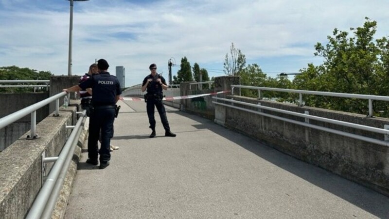 Der Fundort der Leiche wurde von den Einsatzleitern abgesperrt. (Bild: krone.tv)