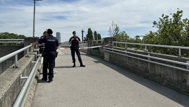 Die Leiche des ersten Opfers wurde am 12. Juli auf einer Wiener Parkbank mit sechs Stich- und Schnittverletzungen gefunden. (Bild: krone.tv)
