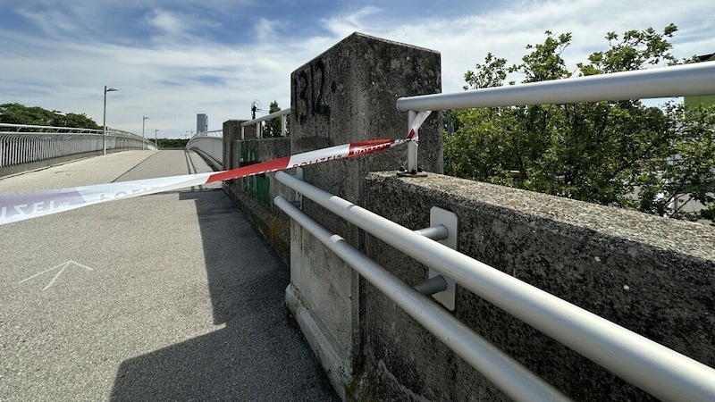 An der Donau im Bereich Treppelweg auf Höhe Handelskai wurde das erste Opfer des Serienkillers gefunden. (Bild: krone.tv)