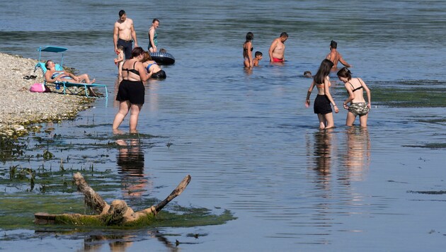 Bathers in Italy (archive image) (Bild: AP)