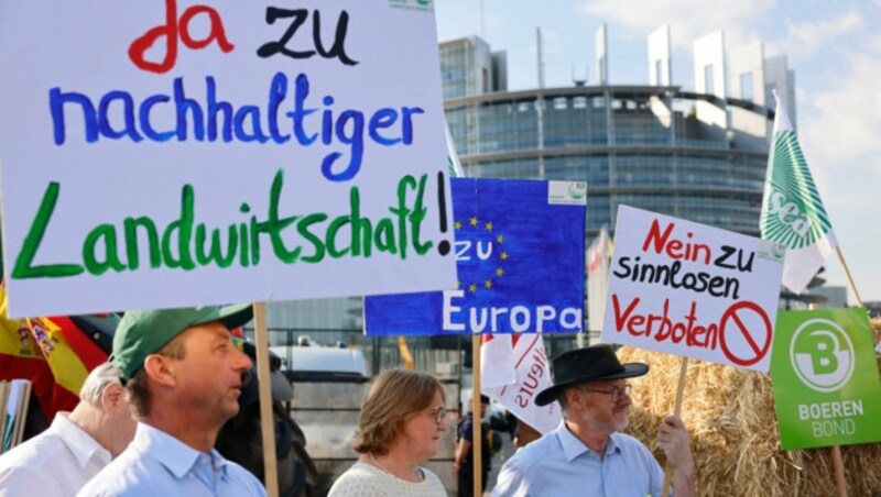 Die Gräben zwischen Landwirtschaft und Naturschützern sind teilweise noch tief, erstere sehen besonders durch EU-Verbote ihre Existenz bedroht. (Bild: AP)