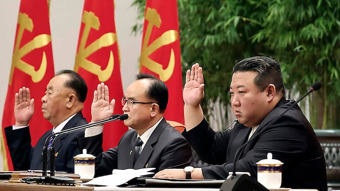 Das Regime von Machthaber Kim Jong Un verfügt nach Einschätzung der japanischen Regierung über ...