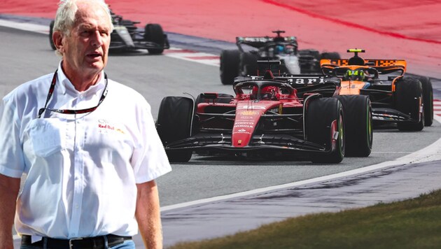 Haben Helmut Marko und Co. Ferrari-Star Charles Leclerc und McLaren-Pilot Lando Norris auf dem Wunschzettel? (Bild: GEPA pictures)
