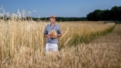 Das Joseph-Getreide gedeiht direkt vor der Bäckerei (Bild: Imre Antal)