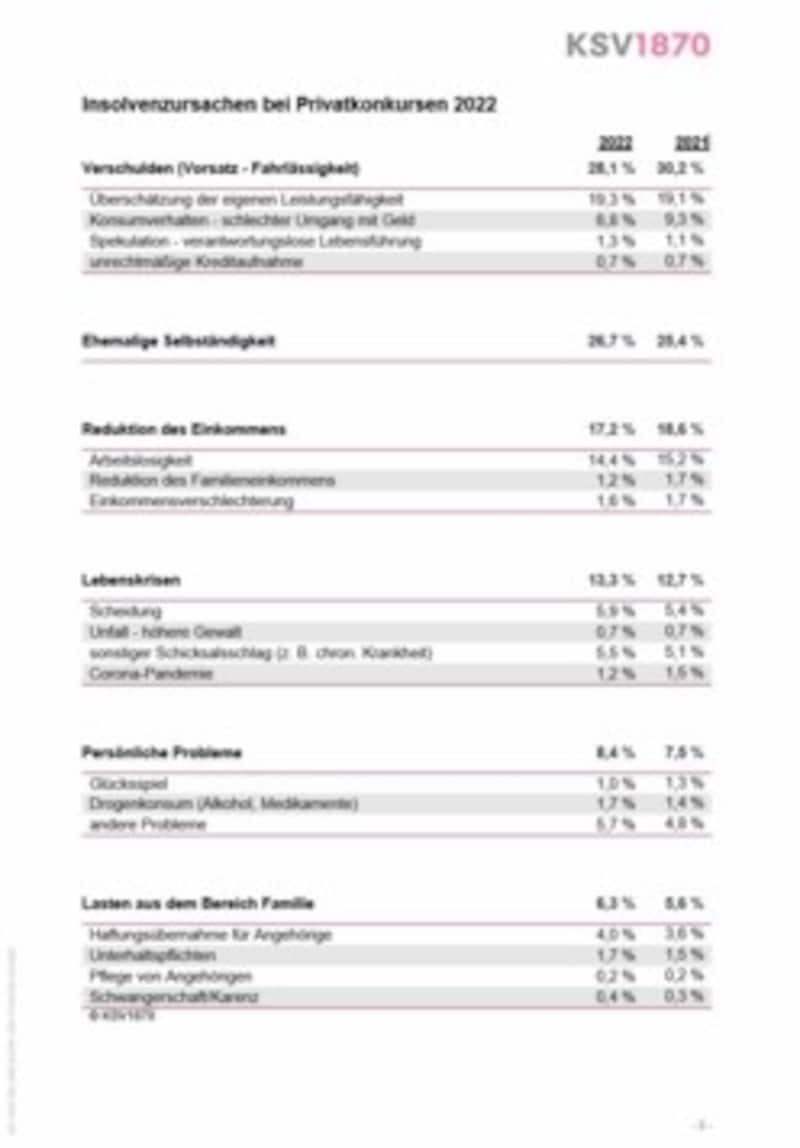 28 Prozent aller Privatkonkurse sind selbst verschuldet (Bild: KSV1870)