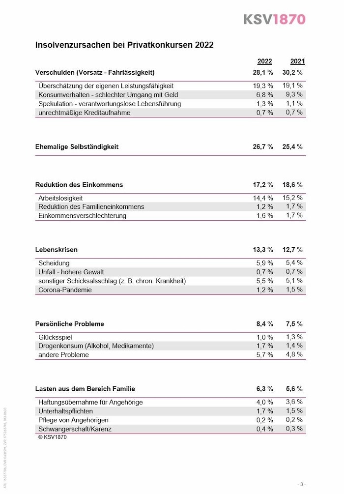 28 Prozent aller Privatkonkurse sind selbst verschuldet
