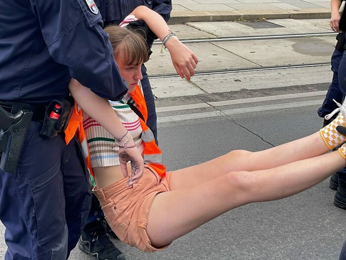 Alleine in NÖ gab es bei sechs KUndgebungen 13 Festnahmen und 85 Anzeigen.