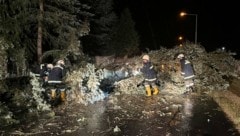 In Bernstein stürzte ein Baum um und blockierte die Straße. (Bild: LFKdo Bgld/Bandat/Sorger)