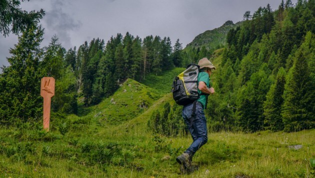 Für den neuen heilklimatischen Wanderweg wurden sogar eigene Hinweise aufgestellt. (Bild: Hannes Wallner)