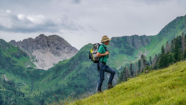 2,5 Stunden dauert die Wanderung von Niedergail auf die Niedergailer Alm - vorbei bei Dr. Wiese, Dr. Wasser, Dr. Wald und Dr. Alm. (Bild: Hannes Wallner)