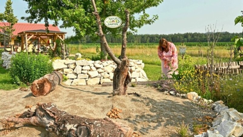 Besucher können diverse Hecken und alte Obstbaumsorten kennenlernen. (Bild: EVELYN HRONEK)