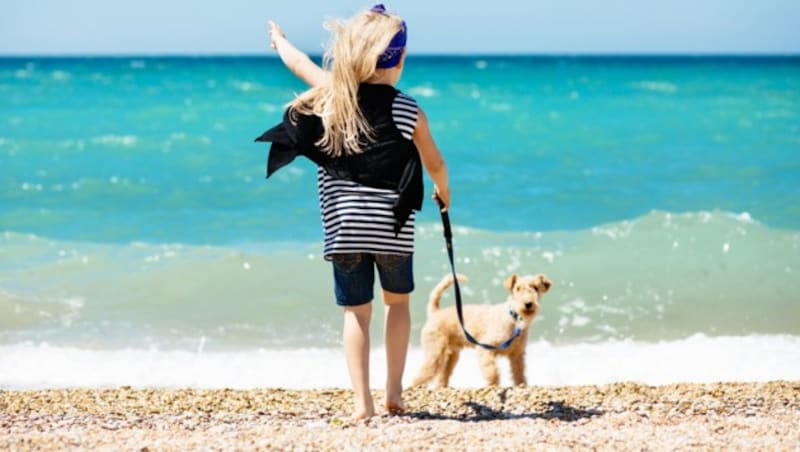 Laut Tierschutzgesetz ist das Aussetzen von Haustieren in Italien strafbar und kann mit einem Bußgeld in der Höhe von bis zu 10.000 Euro oder einem Jahr Gefängnis geahndet werden. (Bild: ivkate - stock.adobe.com)
