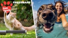 Splish, Splash, Wasserspaß - machen Sie mit! (Bild: stock.adobe.com (2), Fressnapf, Krone KREATIV)