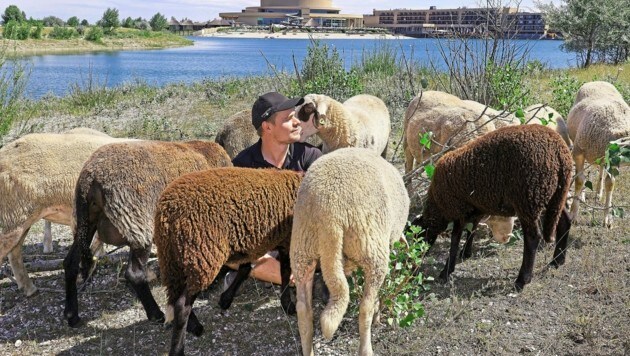 Nach der Definition der „Biophilie“, soll dem Gast ermöglicht werden, dem Tier - bzw. generell der Natur - auf Augenhöhe zu begegnen. (Bild: Reinhard HOLL)