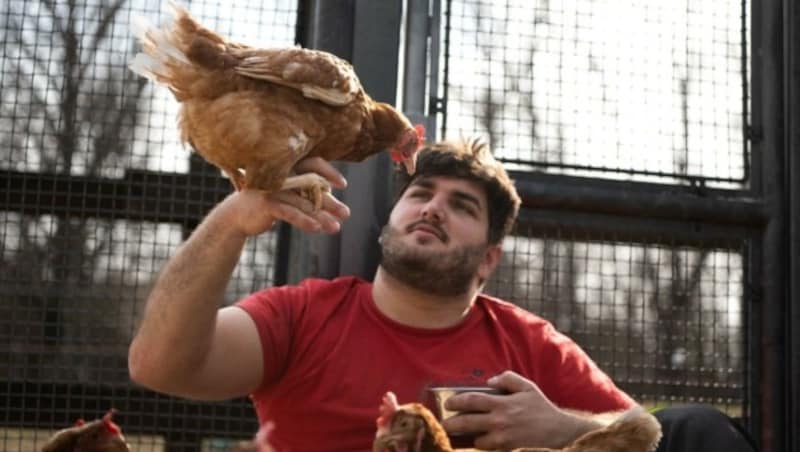 Stephan Scheidl vom Tierschutzhaus Vösendorf (Bild: Tierschutz Austria)