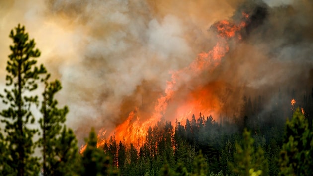 Rekordmengen an Kohlenstoff wurden durch die Waldbrände in Kanada in die Luft gebracht. (Bild: APA/AP Photo/Noah Berger)