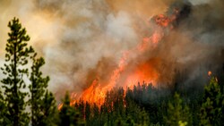 Rekordmengen an Kohlenstoff wurden durch die Waldbrände in Kanada in die Luft gebracht. (Bild: APA/AP Photo/Noah Berger)
