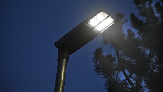 LED-Leuchtmittel locken laut Studien weniger Insekten an. (Bild: ROLAND_HOLITZKY)