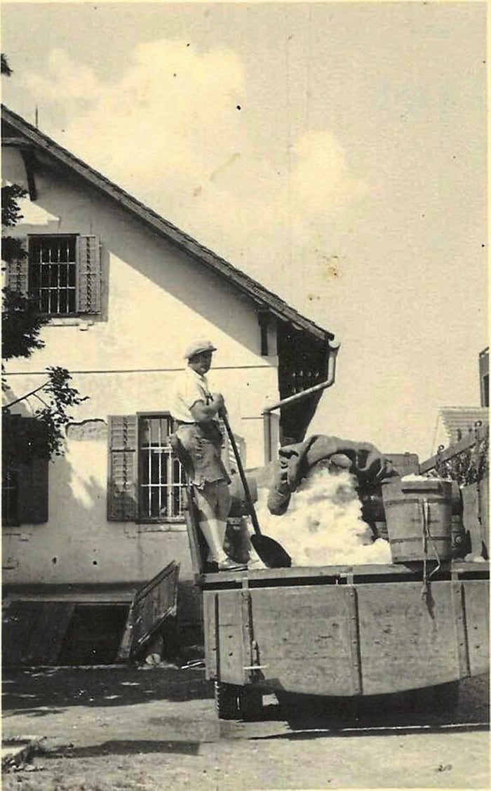 Ein Vorläufer der Tiefkühlhäuser: Ein Arbeiter befüllt einen Eiskeller in Steinberg (1952).