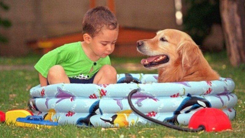 Der Hundepool sollte so groß sein, dass der Hund darin entspannt liegen kann. (Bild: KRONEN ZEITUNG)